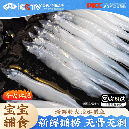 新鲜小银鱼7-12cm【100g*8袋】