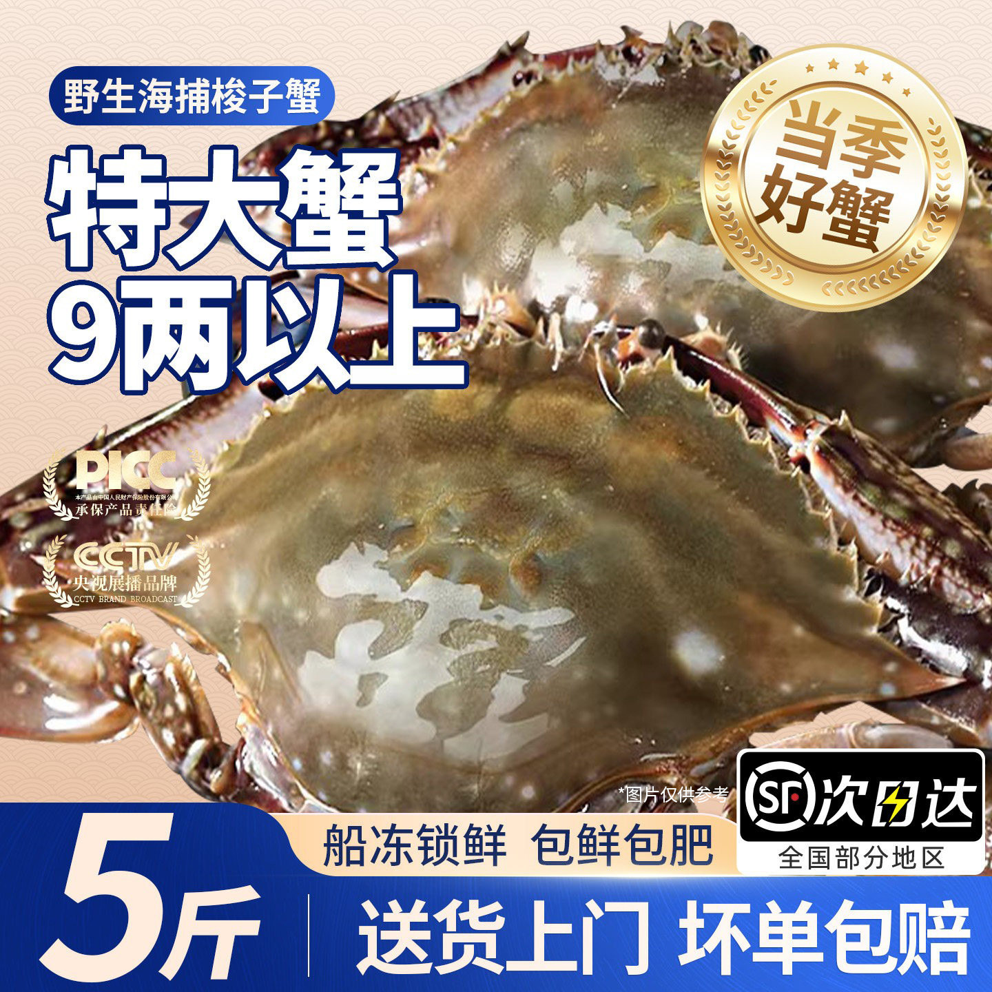 舟山梭子蟹特大野生5斤白蟹新鲜蟹活冻螃蟹海蟹海鲜飞蟹冻蟹