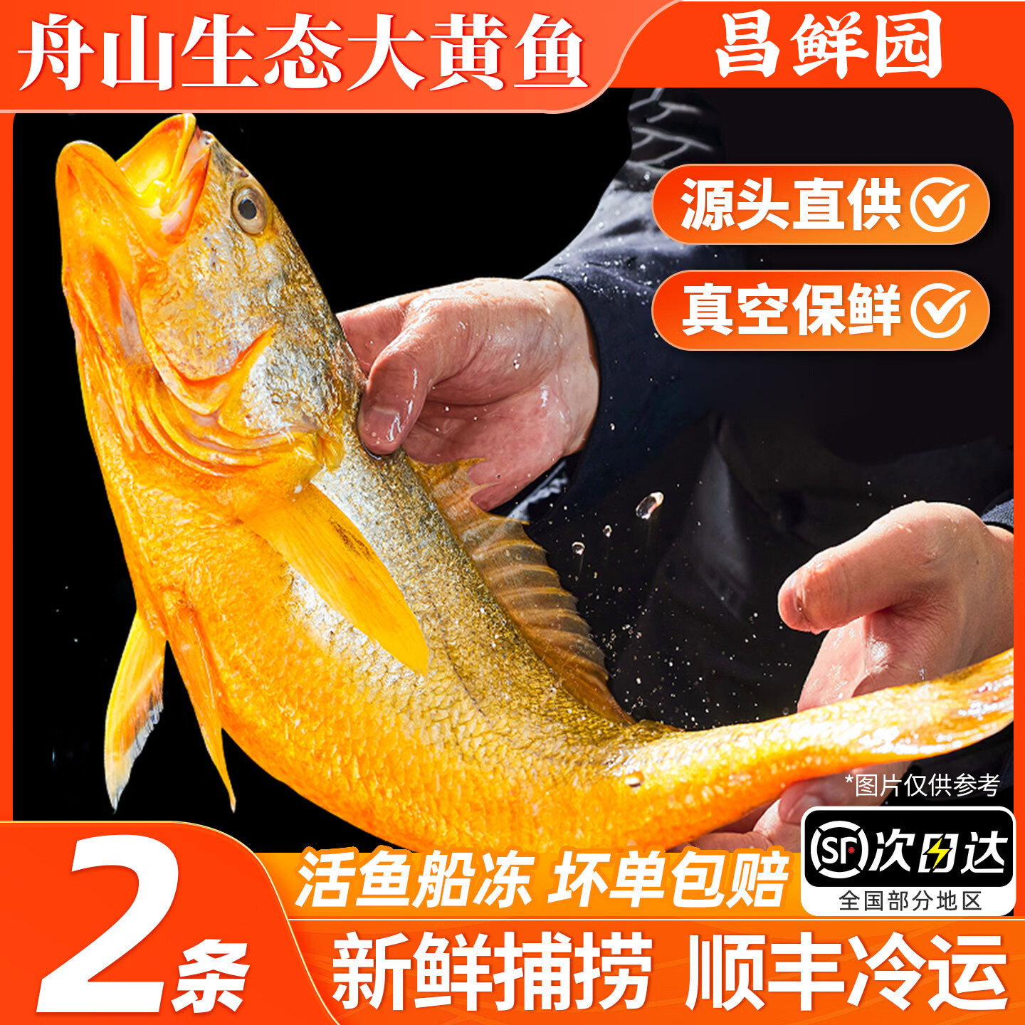 舟山特产大黄鱼礼盒深海宁德黄花鱼鲜活冷冻生鲜节日海鲜礼包送礼