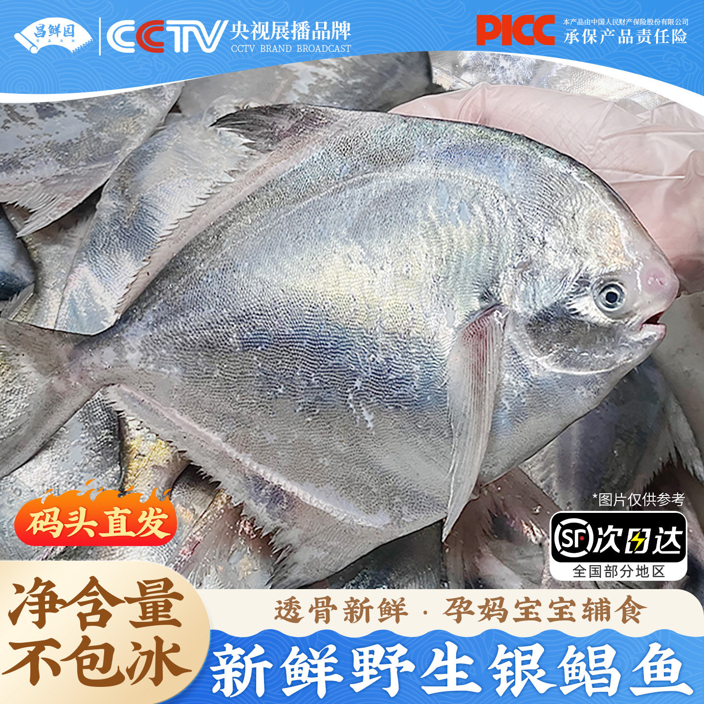 昌鲜园舟山银鲳鱼新鲜冷冻平鱼白鲳鱼鲳鳊鱼昌鱼海捕水产鲜活冷冻