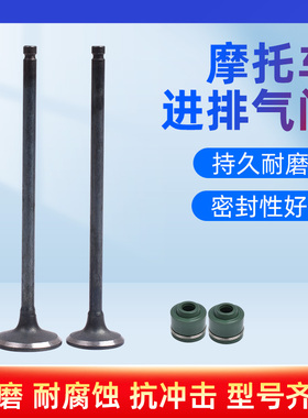 适用铃木GSF250盗匪73 74A摩托车气门杆进气门排气门气门油封配件