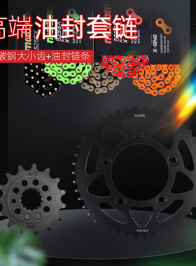 适配杜卡迪Scrambler自游800怪兽monster797链轮前后牙盘链条套链