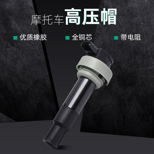 适用宝马G650 X/GS 06-15年摩托车点火线圈 高压包 高压帽配件