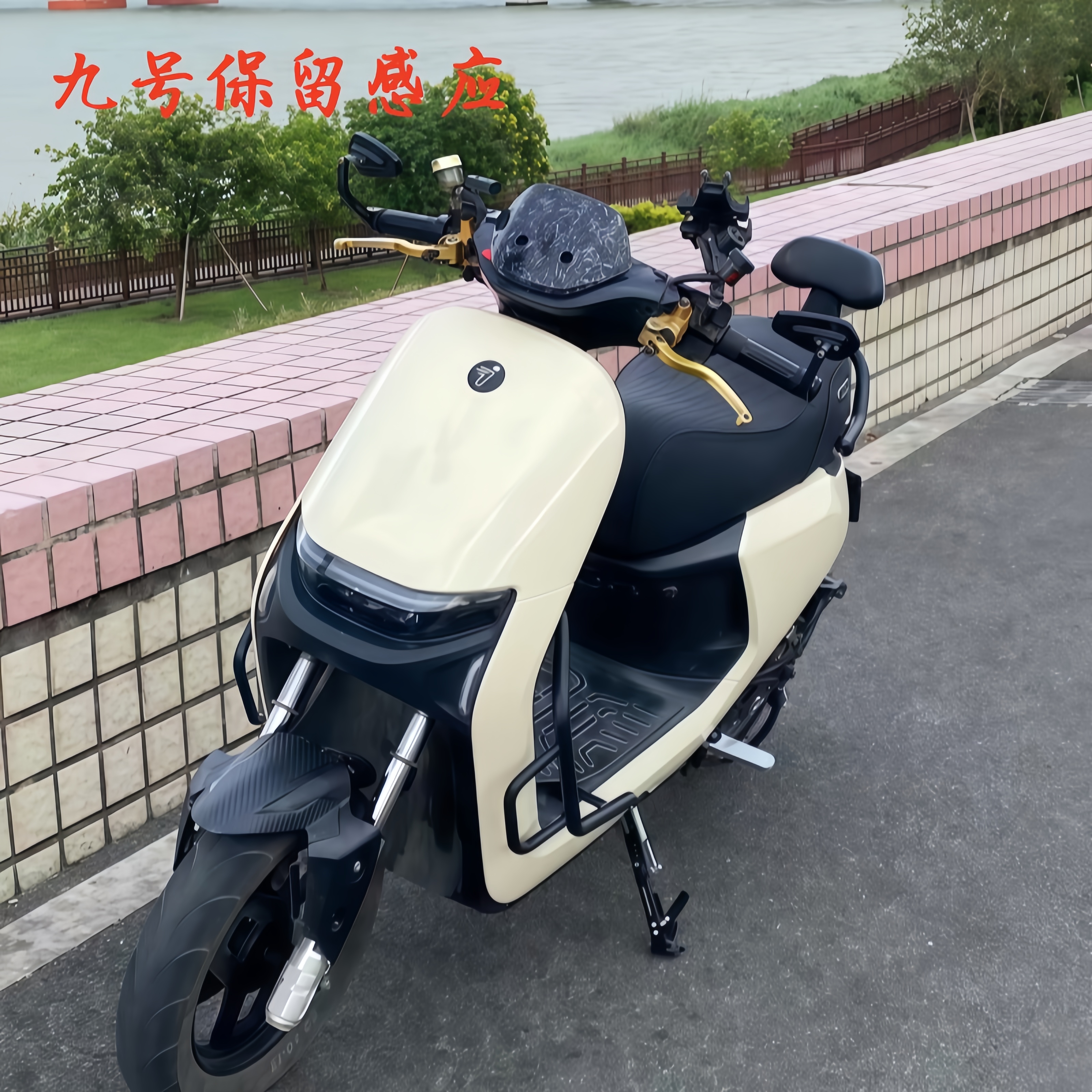 9号九号电动车A+BCF90/NZmix增高