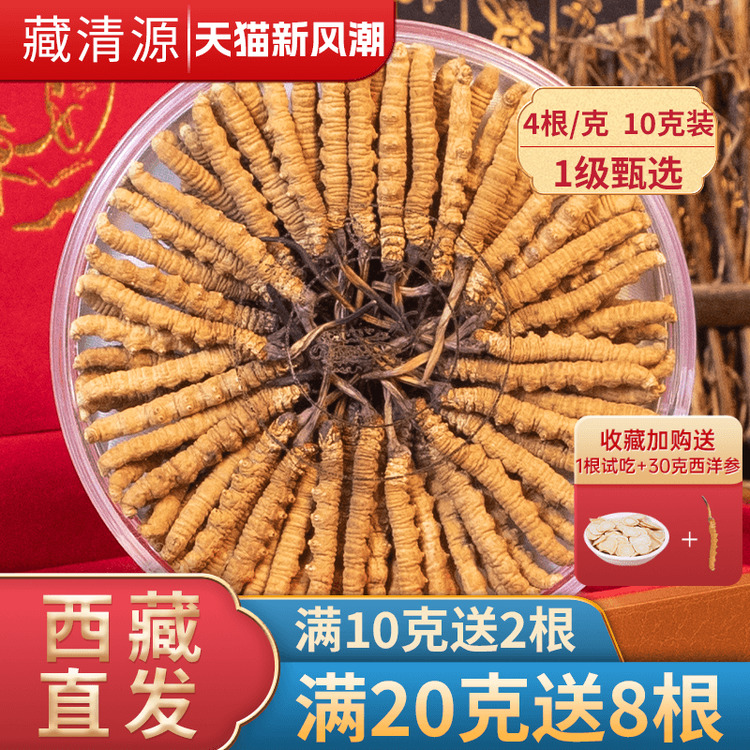 藏清源新鲜冬虫夏草官方旗舰店正品干货4条/克40根10克虫草礼盒装