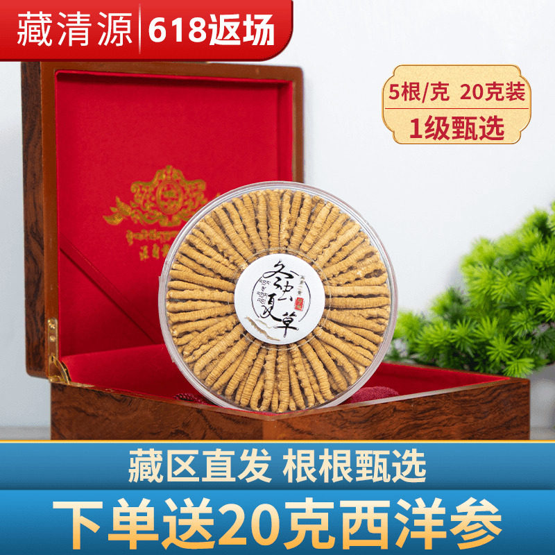 冬虫夏草干货20克装官方正品