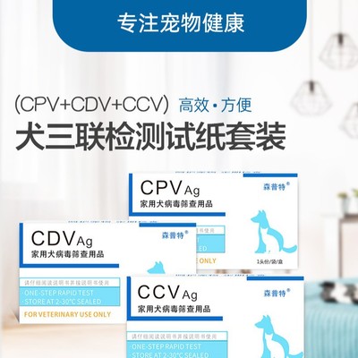 森普特犬三联检测套装医院同款