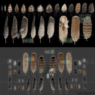 4K红尾鹰羽毛纹理贴图 PBR羽毛材质 alpha 反射 法线贴图素材0772