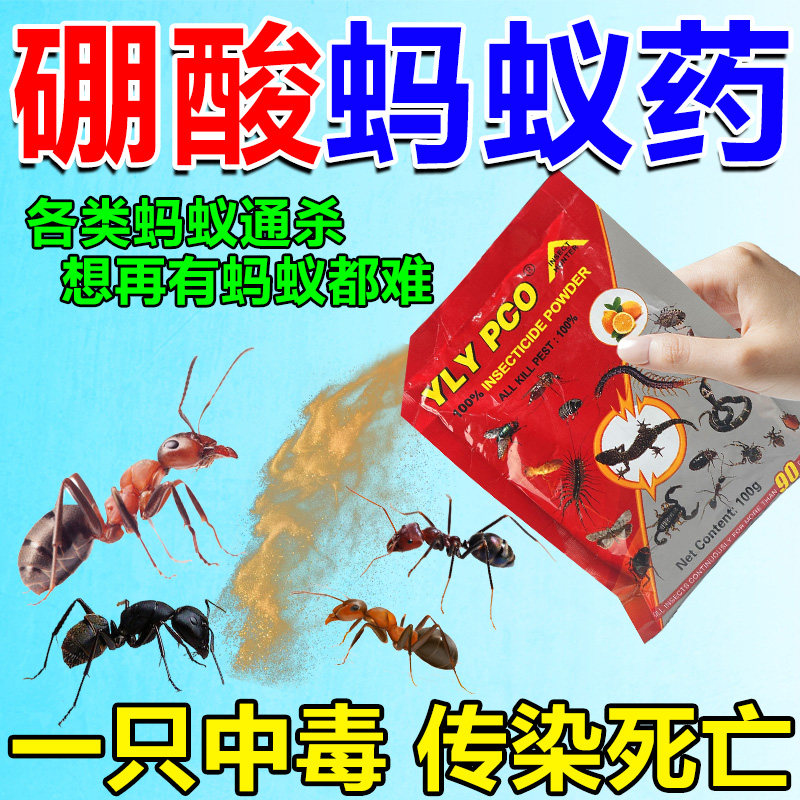 硼酸蚂蚁药专祛除蚂蚁的药宠物无害蟑螂全窝端虫卵双杀家防治专用