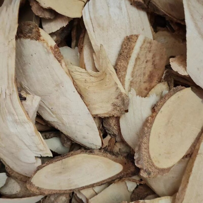 鸟不宿 刺根白皮 鸟不停 钱串树 金钱树 鸟不宿 各种冷背