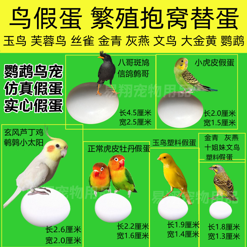 假蛋鸟类仿真实心蛋文鸟皮皮牡丹玄凤鸟蛋引蛋鸟具玉鸟蛋