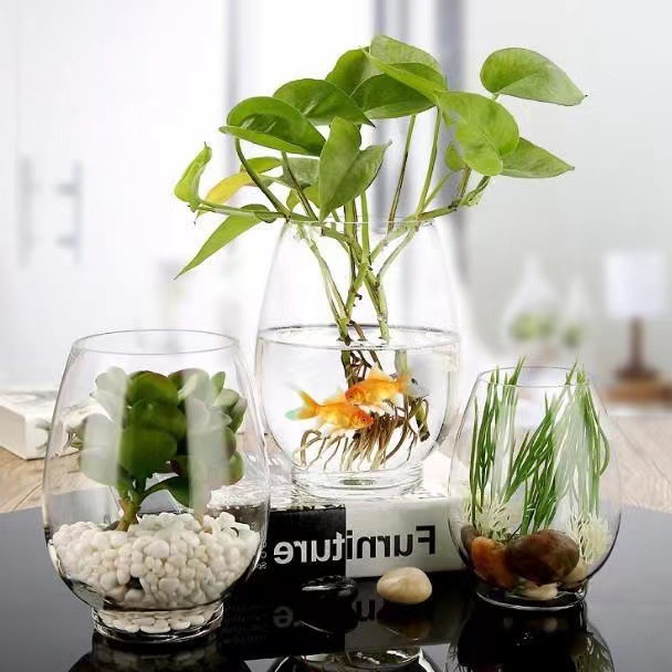 办公室小鱼缸加厚透明玻璃乌龟缸客厅家用桌面龙蛋小型金鱼缸