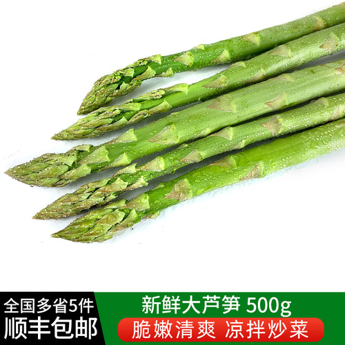 新鲜大芦笋500g 农家现摘新鲜蔬菜绿芦笋青芦笋凉拌菜食材龙须菜