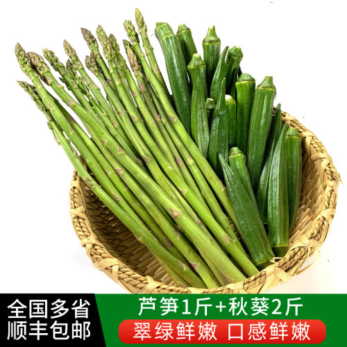 秋葵1斤芦笋2斤 新鲜农家蔬菜组合脆嫩可口炒菜凉拌 多省顺丰包邮