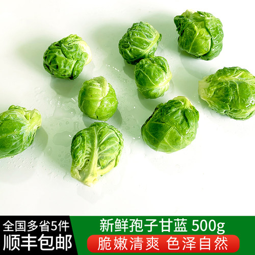 绿食者 孢子甘蓝500g 新鲜沙拉食材抱子甘蓝 迷你小包菜小卷心菜