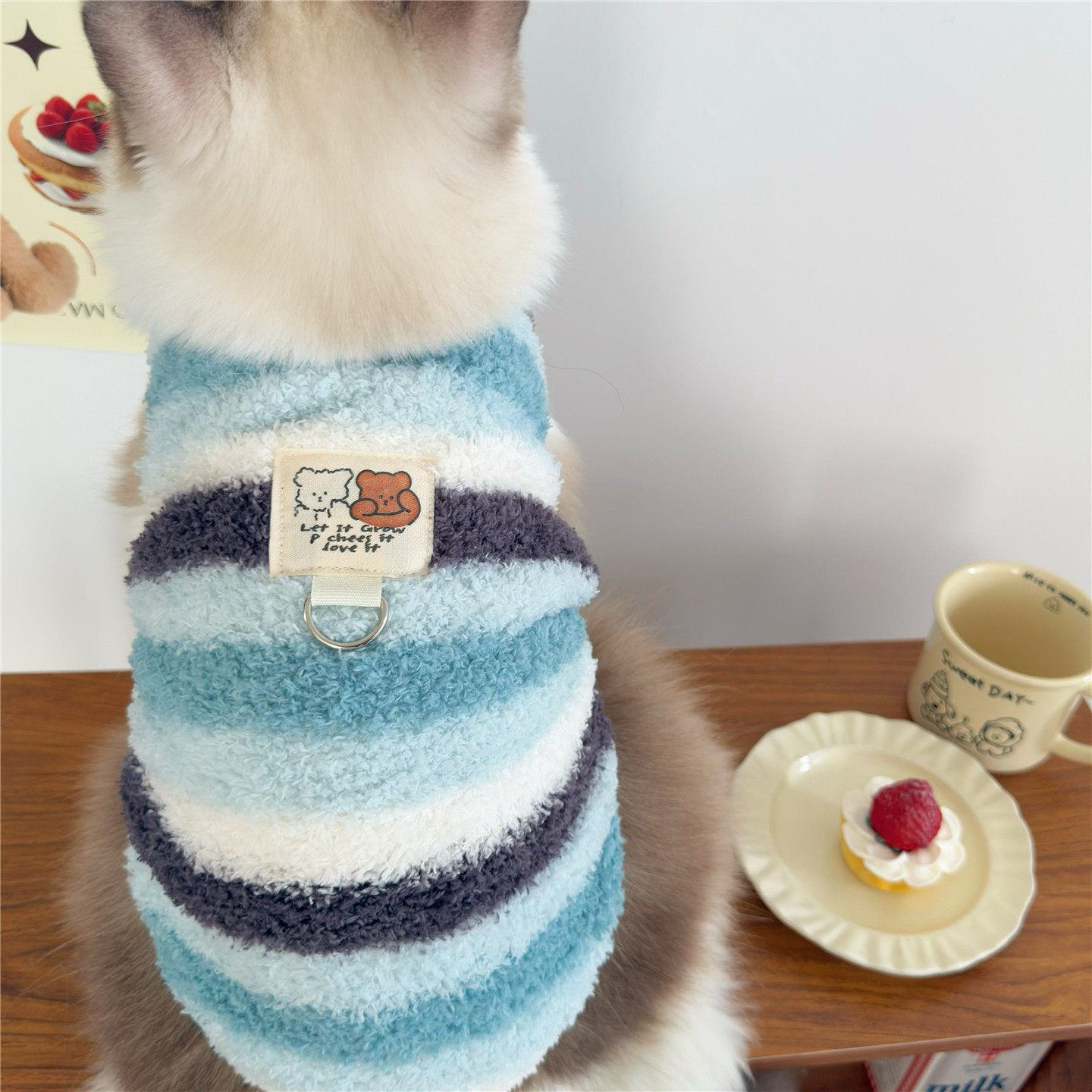 冬季保暖加绒背心英美短布偶小猫小奶猫幼猫狗狗猫咪衣服秋冬装