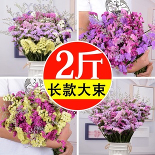 云南基地直发勿忘我干花花束客厅摆设玫瑰干花风干天然鲜花真花