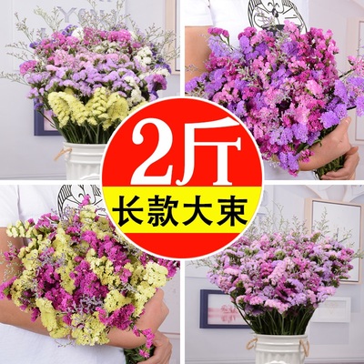 蝶蜜园勿忘我干花花束