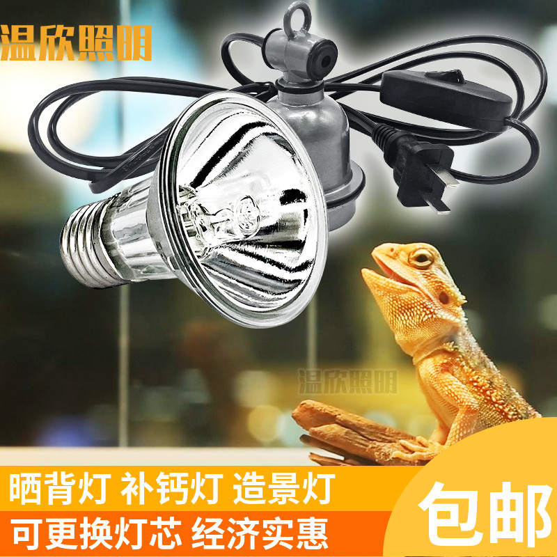 爬宠E27螺口晒背灯加温灯养殖箱UVB大太阳灯繁殖箱保温灯爬虫灯具