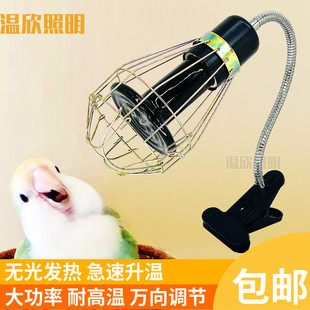 鹦鹉保温灯万向灯头可调方向灯座宠物陶瓷红外取暖灯蜜袋鼯加热灯