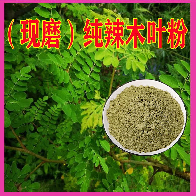 纯有现磨辣木叶粉机冻干复合破壁细粉家商用泡水正品新货独立包装,传统滋补营养品,其他药食同源食品,淘宝优惠券,粉丝福利购,淘宝优惠卷