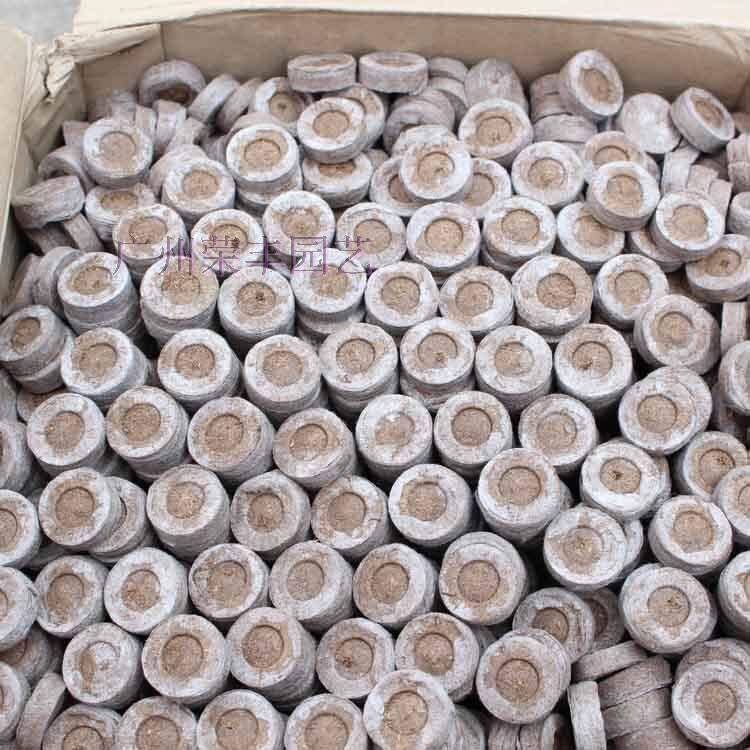 原装进口捷菲JIFFY育苗块-24mm （压缩泥炭藓块/播种专用）|msdalam kategori penghantaran bunga/bunga simulasi/tumbuhan berkebun, Gardening Supplies, baja rumah berkebun/tanah pemakanan/penyelesaian nutrien - dari Buy2taobao.com untuk memberikan perkhidmatan ejen Taobao profesional membeli