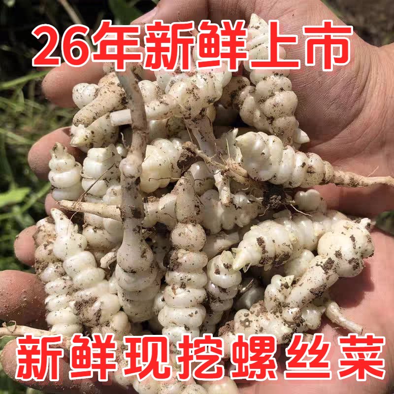 现挖螺丝菜新鲜蔬菜5斤宝塔菜地环甘露子草石蚕地牯牛葫芦酱泡10