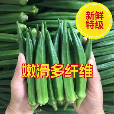 秋葵新鲜蔬菜5斤整箱本地羊角豆不老水果鲜秋葵现摘黄秋葵黄葵10