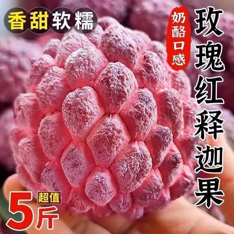 【顺丰】海南玫瑰红释迦果新鲜现摘稀有水果大果香甜番荔枝现货图片