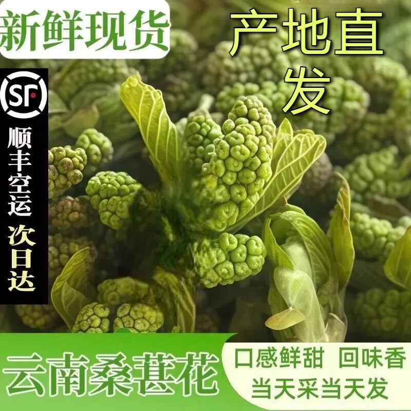 【顺丰空运】云南新鲜食用花桑葚花桑子花马桑花食花季节鲜花食材
