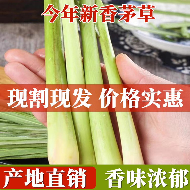 香茅草新鲜柠檬草叶香茅香料