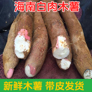 海南白肉木薯新鲜食用面包木薯现挖现发粉粗粮糖水店产地直发包邮