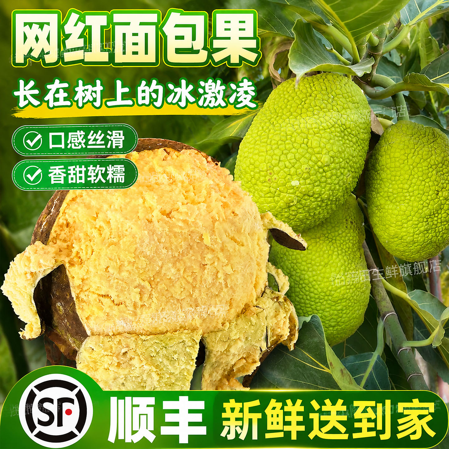 顺丰现货网红水果新鲜面包果鲜活其它