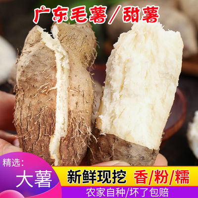 新鲜现挖，粉糯香甜，不好吃包退