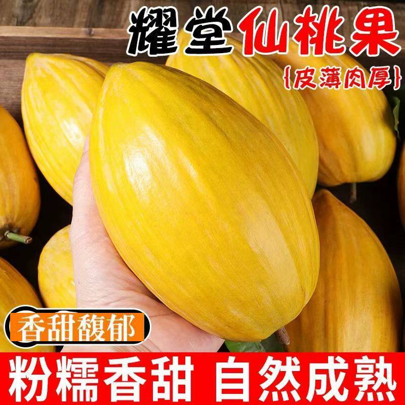 正宗耀堂仙桃果新鲜鸡蛋果当季热带孕妇水果蛋黄果狮子罕见蛋黄果