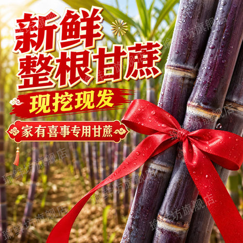 整根黑皮甘蔗海南新鲜当应季水果特产结婚搬家新居喜事节节高包邮