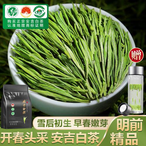 2026头采特级明前安吉白茶250g