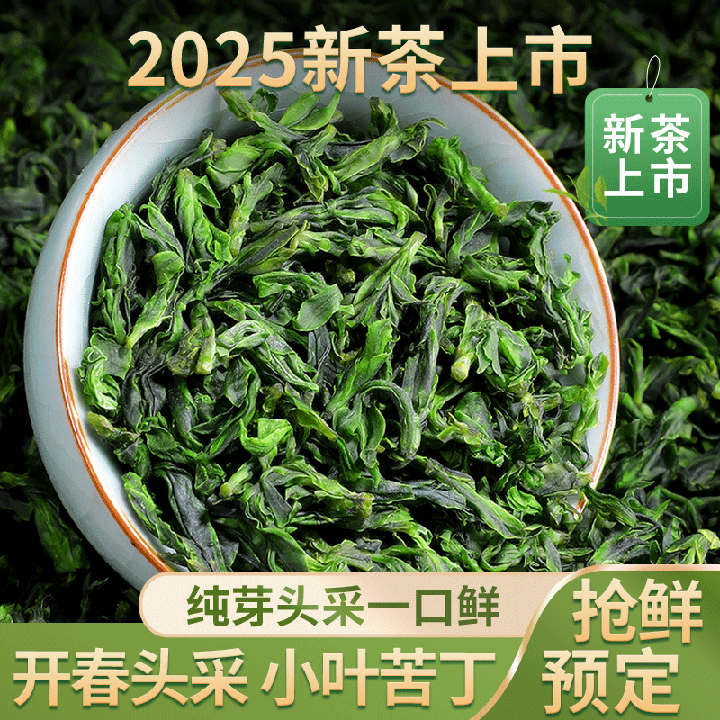2025新茶头采明前纯芽头小叶苦丁