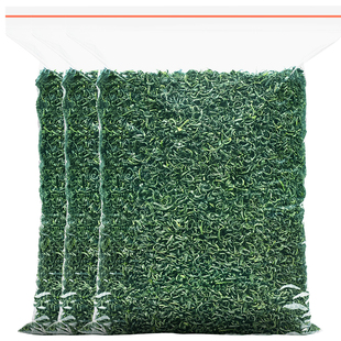 陈一凡高山云雾绿茶500g茶叶2025绿茶新茶春茶谷雨茶日照充足散装