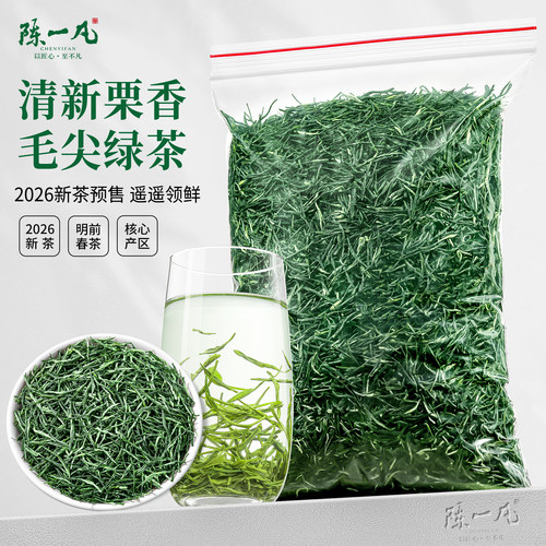 陈一凡毛尖茶绿茶2026新茶250g