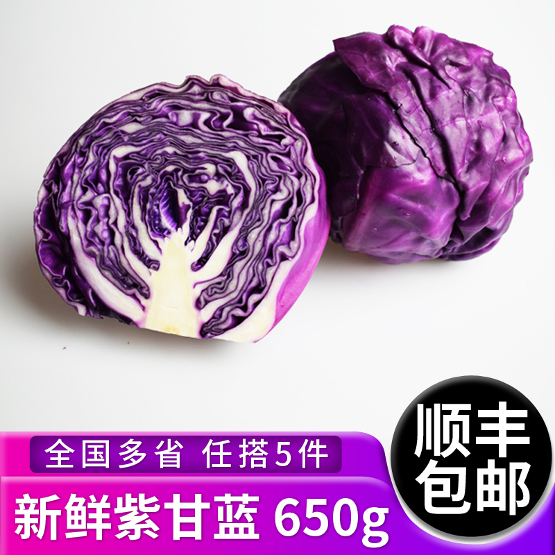 紫甘蓝650g紫包菜球红沙拉食材