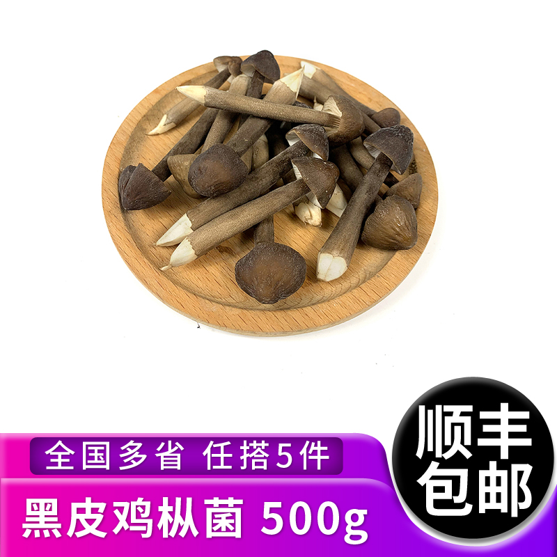 新鲜500g长根蘑菇煲汤黑皮鸡枞菌