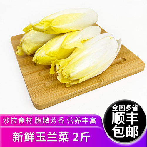玉兰菜2斤新鲜蔬菜沙拉食材