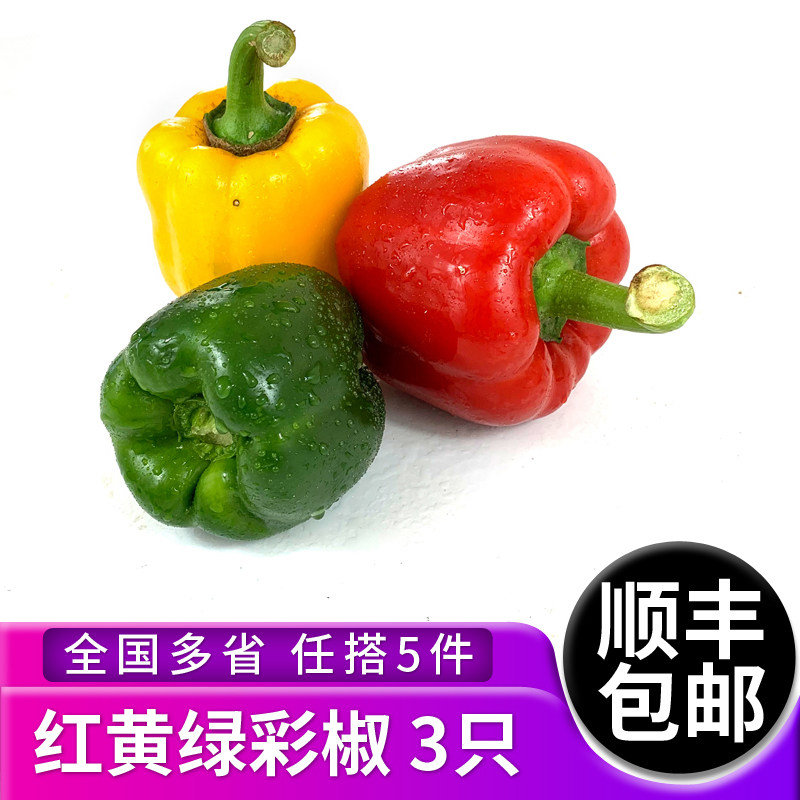 红黄绿彩椒3只/约550g 灯笼椒方椒青椒圆椒甜辣椒柿子椒