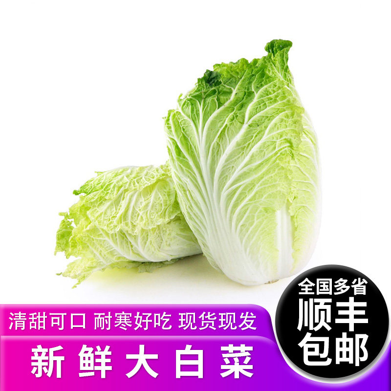 本地大白菜当季时令新鲜大白菜农家自种蔬菜包心菜整颗白菜