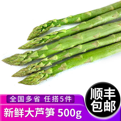 新鲜大芦笋500g 农家现摘新鲜蔬菜绿芦笋青芦笋凉拌菜食材龙须菜