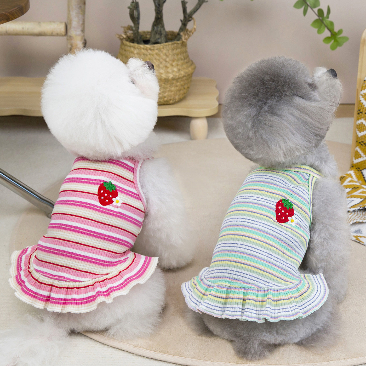 宠物衣服春夏装新款条纹草莓裙泰迪比熊猫咪小型犬夏季公主连衣裙