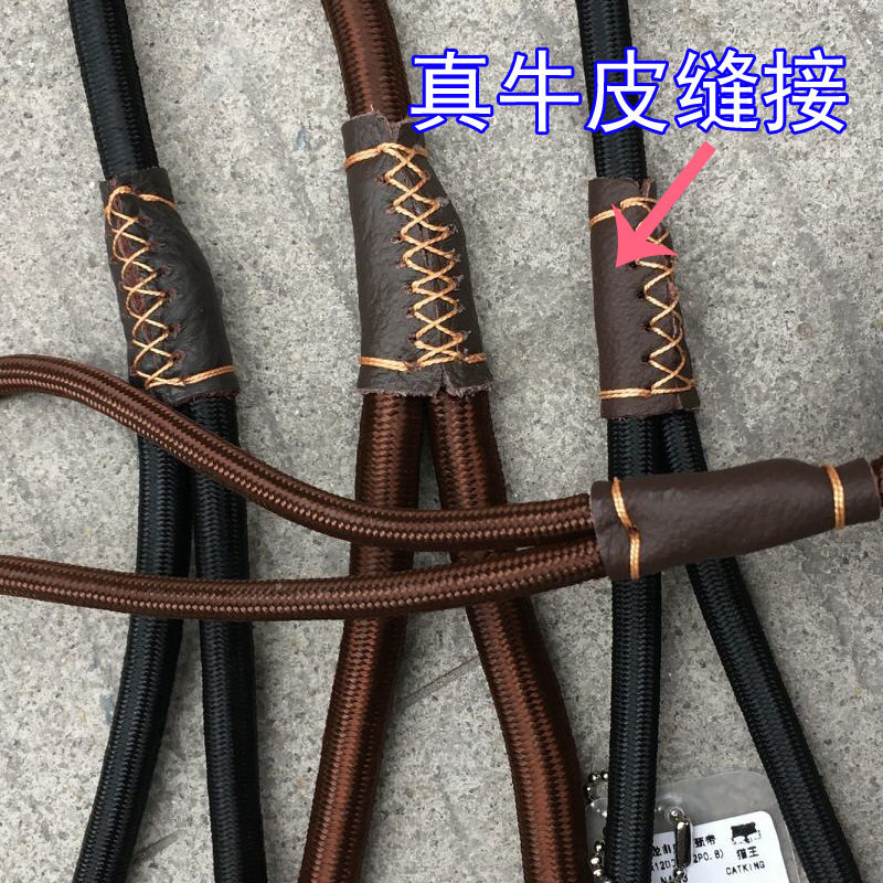 狗P链牵引绳泰迪比熊幼犬