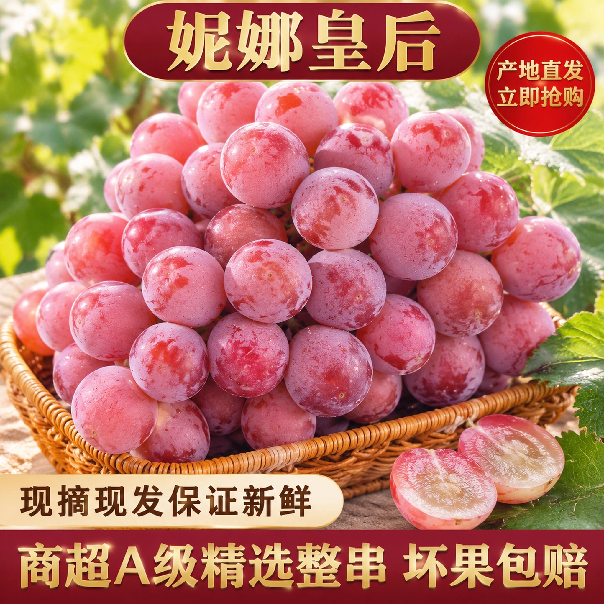 大凉山西昌妮娜皇后顺丰包邮