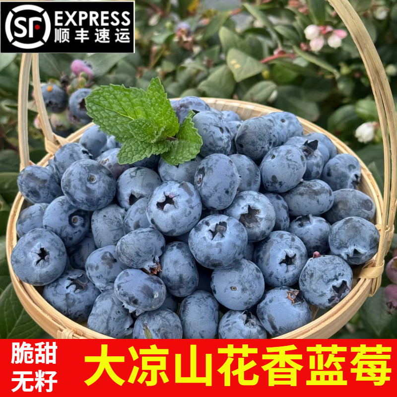 22mm+˳������Ĵ�����ɽ������ݮ������ժ�и�ˮ��������1-4�� 1�� �й� 14-17mm 46.8Ԫ